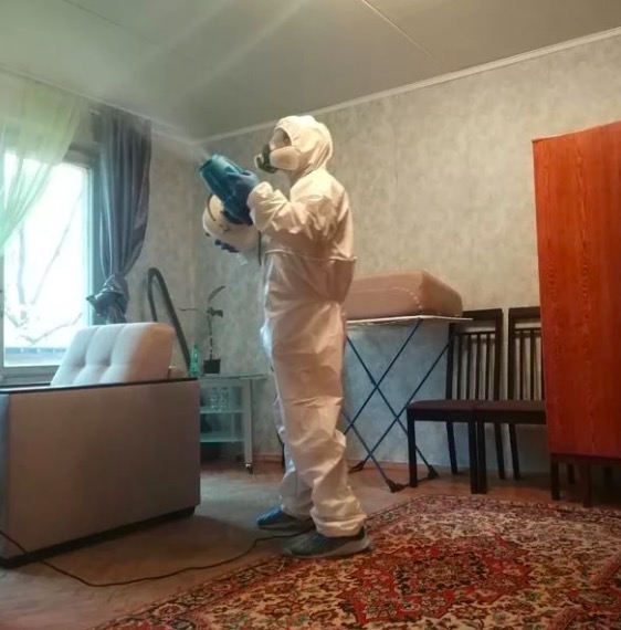 дезинсекция квартиры в Пудоже